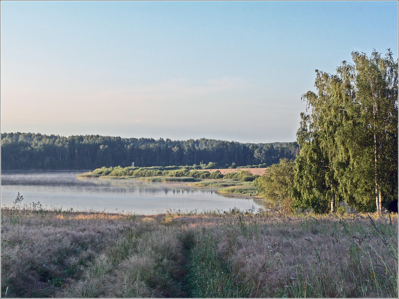 Вазуза, image of landscape/habitat.