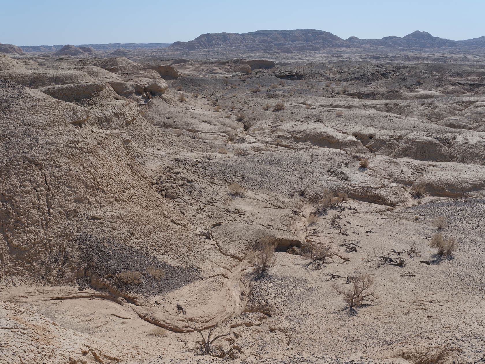 Сарымсакты, image of landscape/habitat.