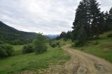 Image of landscape