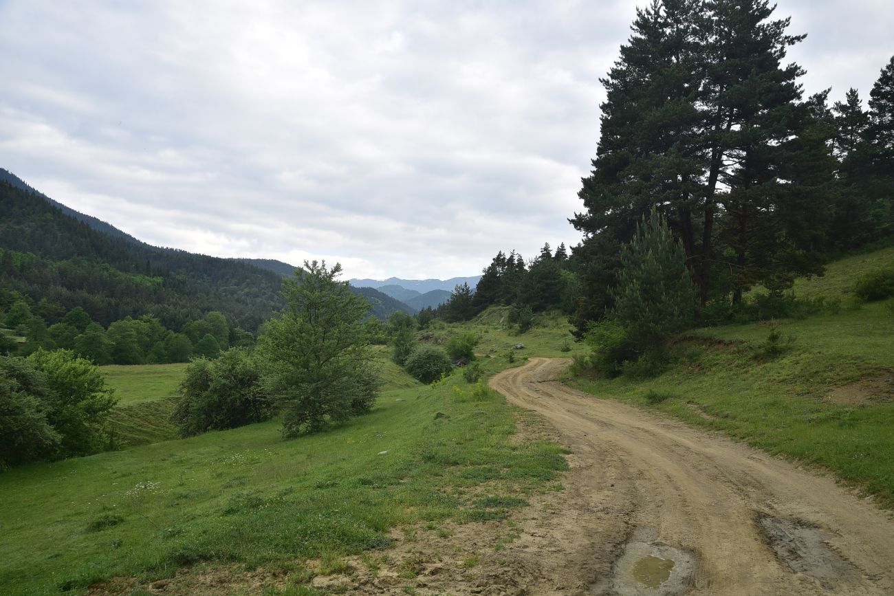 Цинубанская баня, image of landscape/habitat.