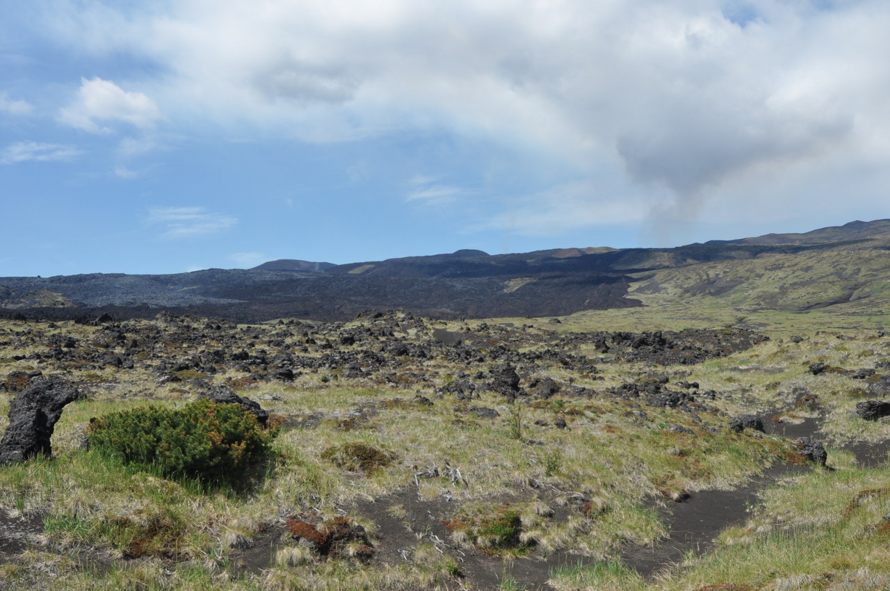Толбачинский дол, image of landscape/habitat.