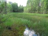 Долина реки Вель, image of landscape/habitat.