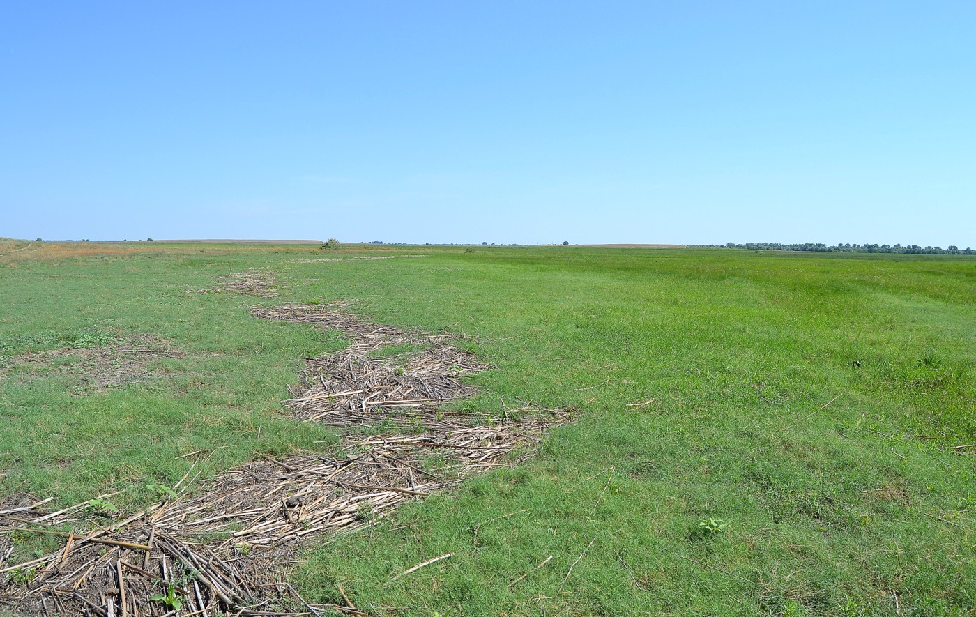 Ямное, image of landscape/habitat.