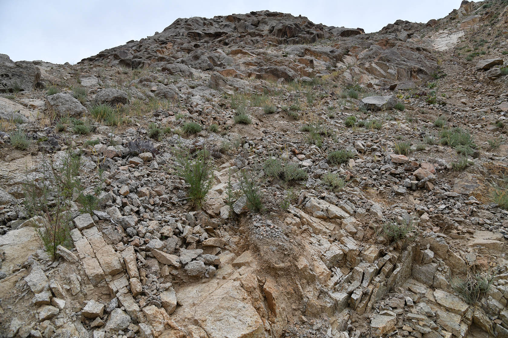 Моголтау, image of landscape/habitat.