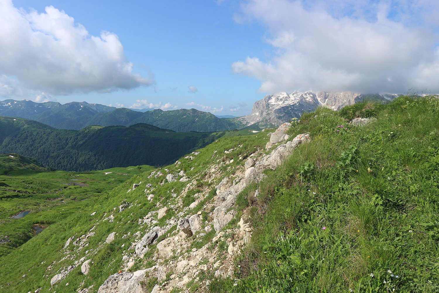 Южный склон горы Гузерипль, image of landscape/habitat.