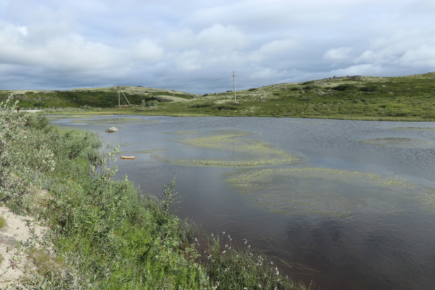 Дорога на Териберку, image of landscape/habitat.