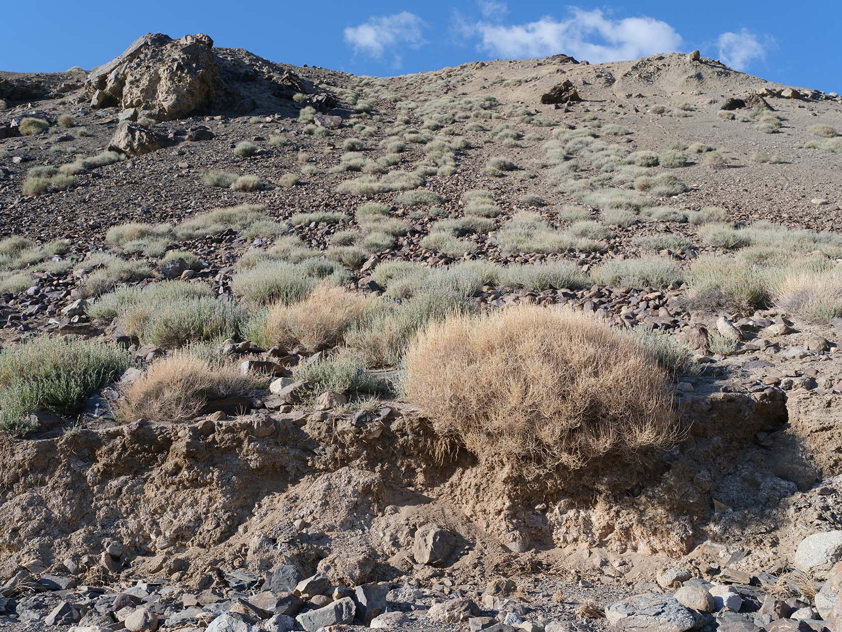 Марджанай, image of landscape/habitat.
