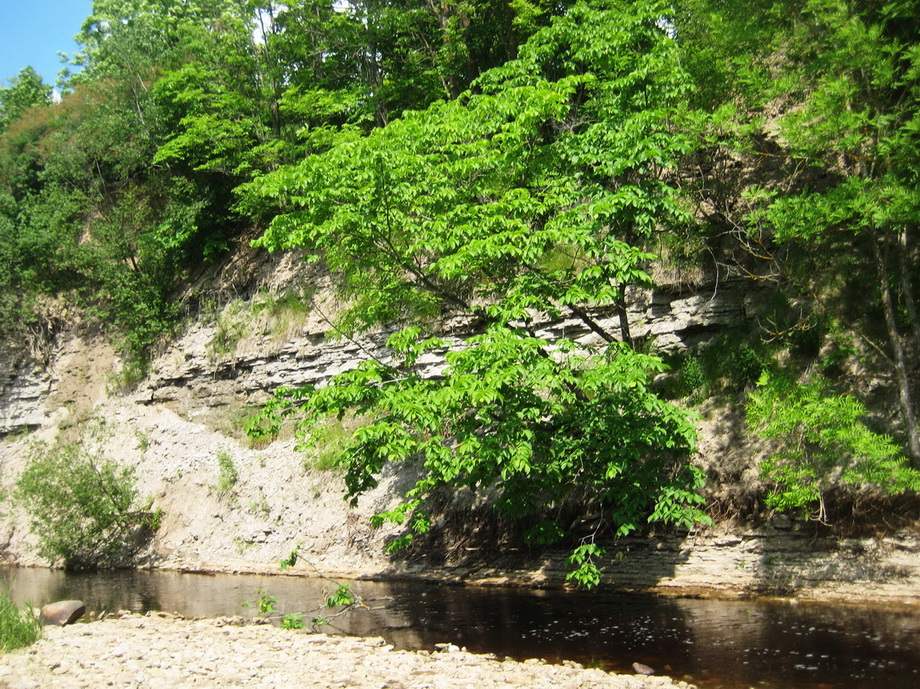 Каньон реки Лава, image of landscape/habitat.