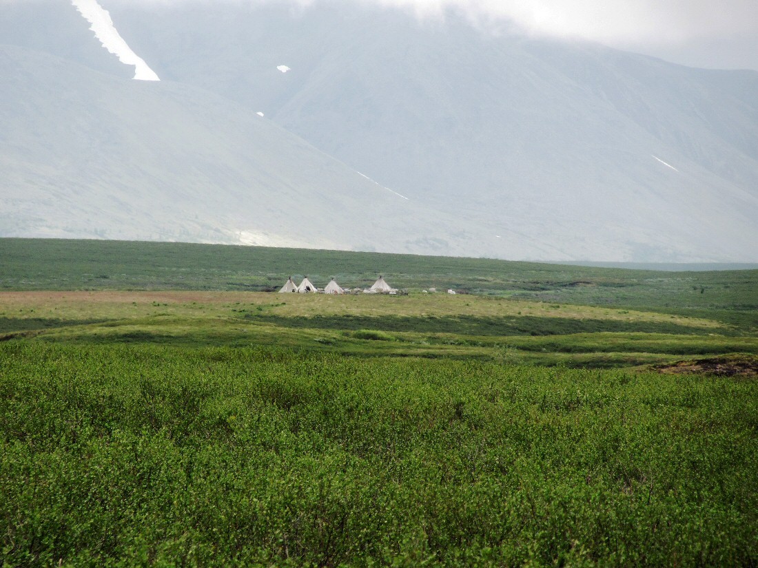 Верховья Нияю, image of landscape/habitat.