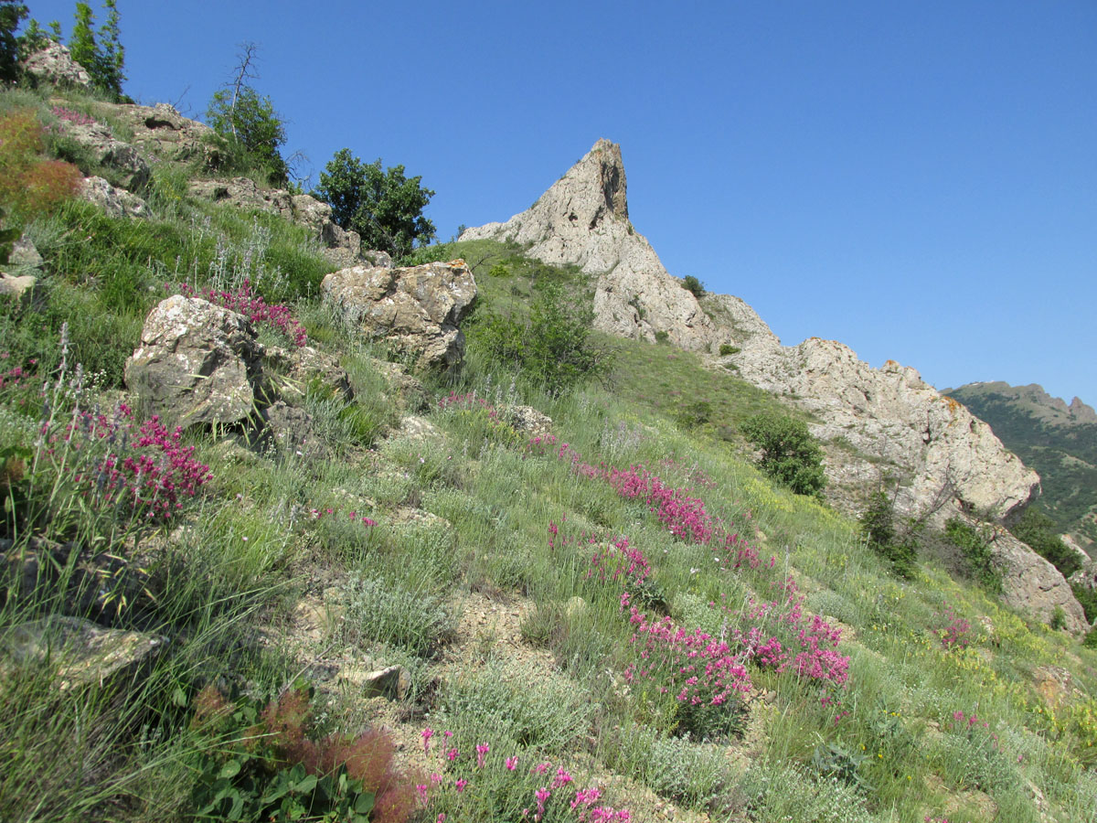 Карадаг, image of landscape/habitat.