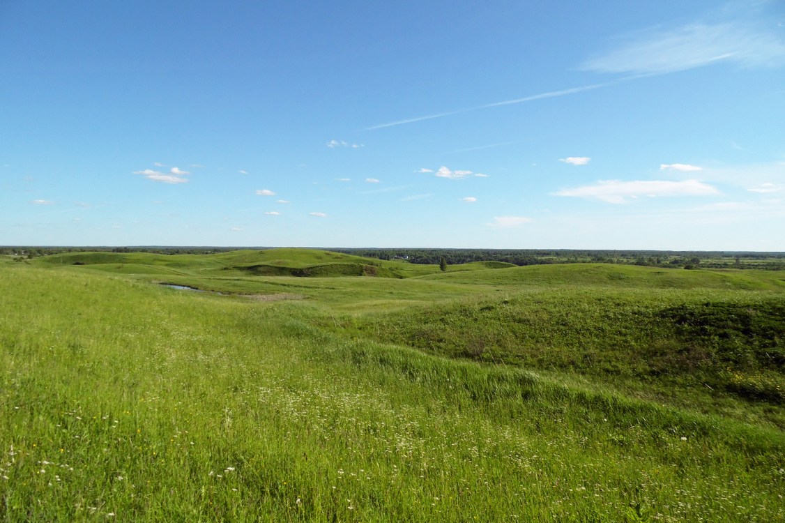 Окрестности Боровичей, image of landscape/habitat.