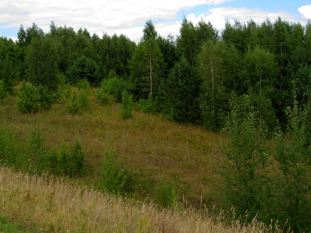 Несутычи, image of landscape/habitat.