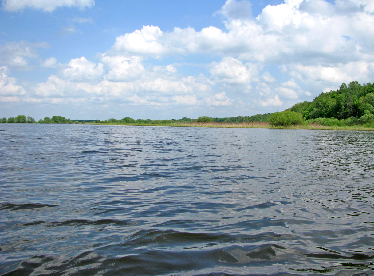 Окский заповедник, image of landscape/habitat.