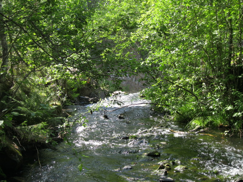 Природный заповедник Кивач, image of landscape/habitat.