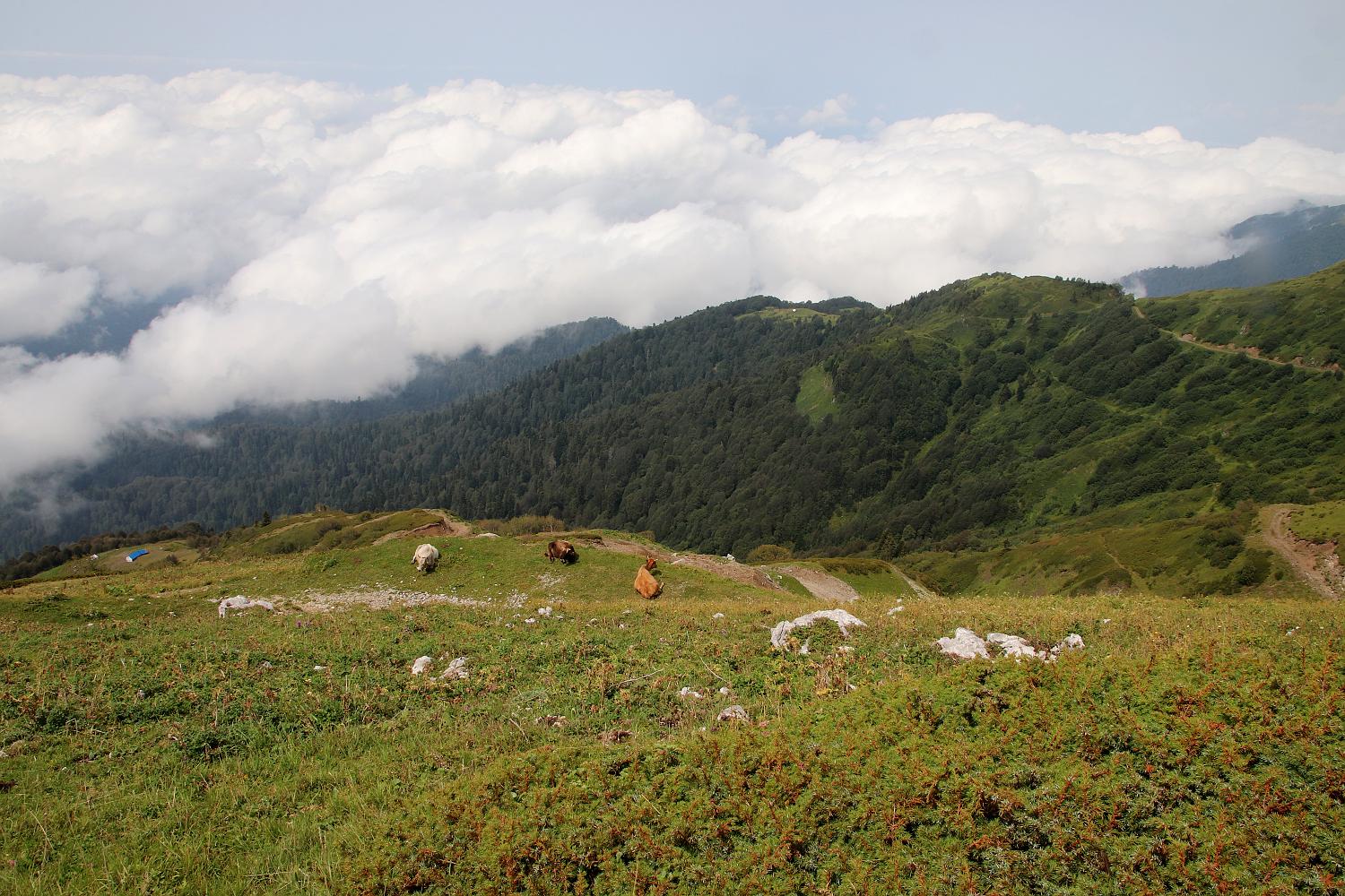 Гора Ах-Аг, image of landscape/habitat.
