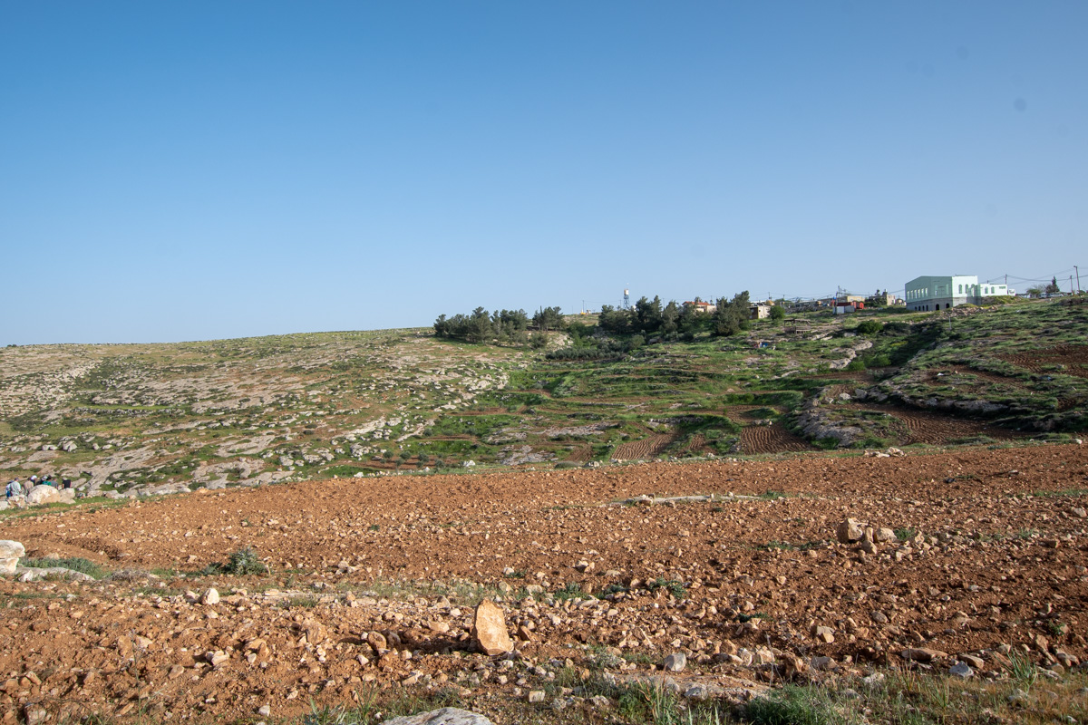 Иудейские горы, image of landscape/habitat.