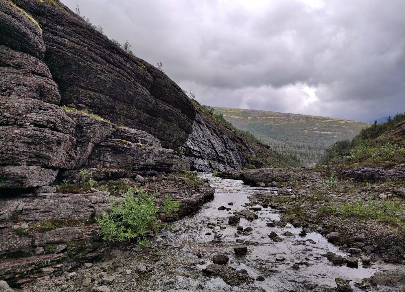 Ручей Маннепахк, image of landscape/habitat.