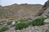 Image of landscape