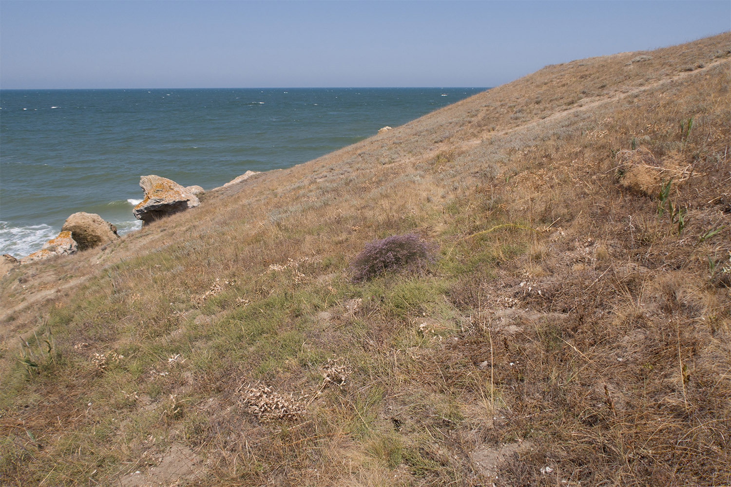 Генеральские пляжи, image of landscape/habitat.