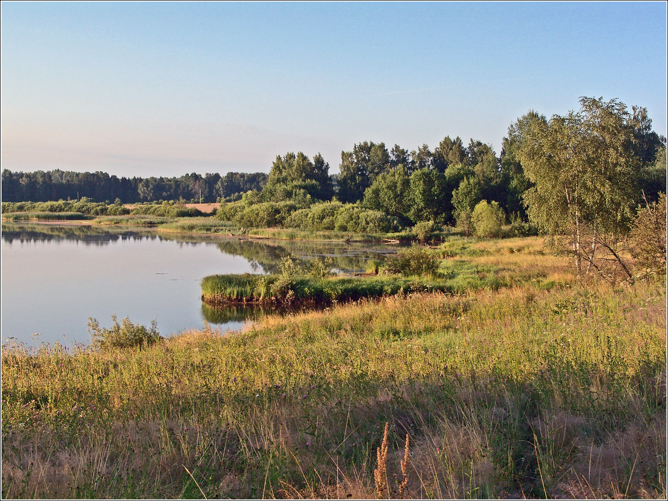 Вазуза, изображение ландшафта.