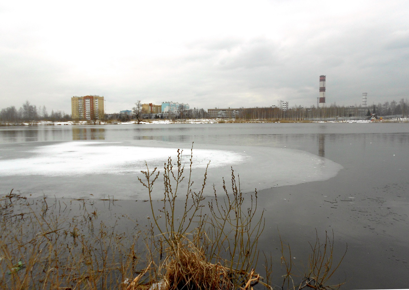 Стахановское озеро, image of landscape/habitat.