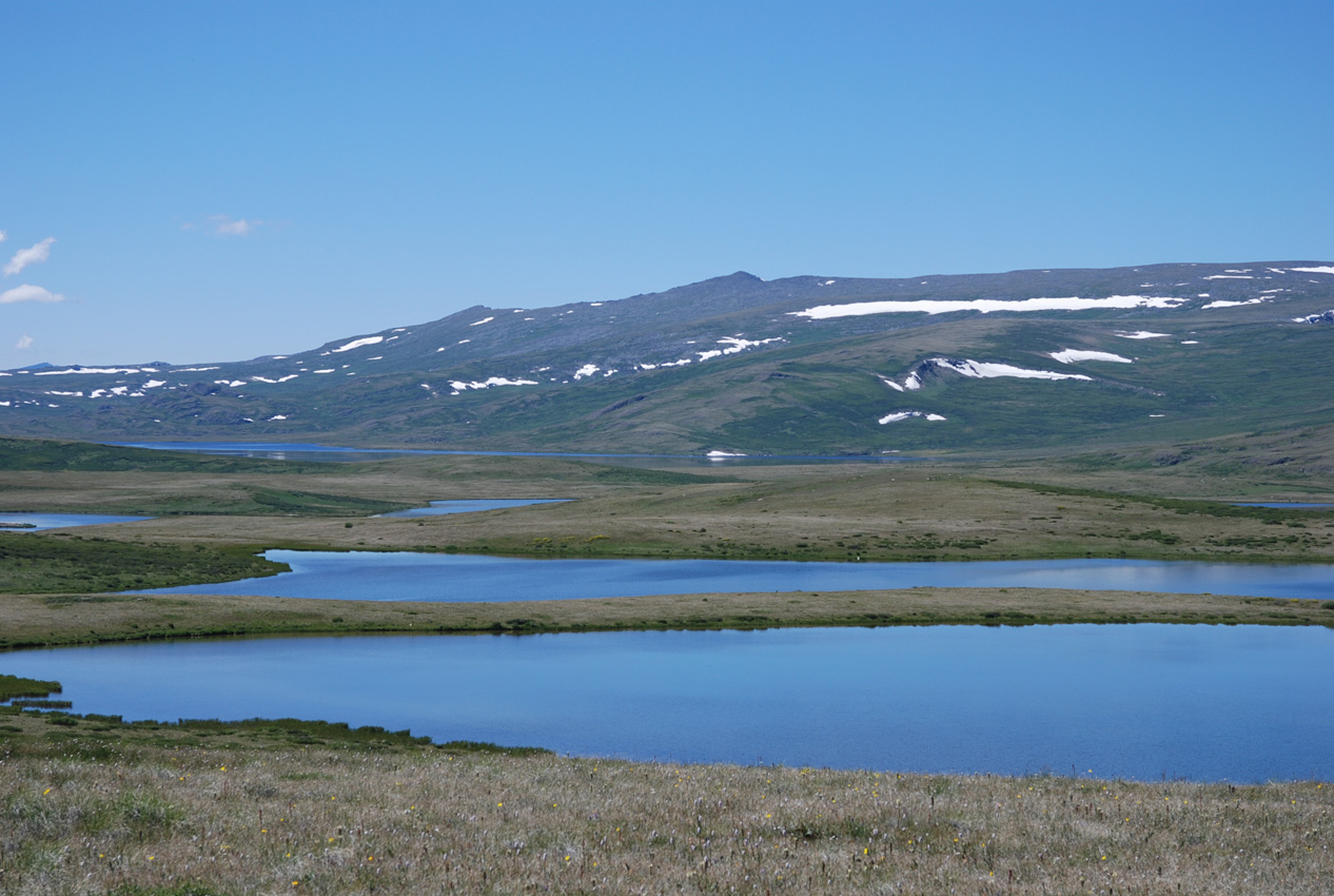 Долина реки Ак-Алаха, image of landscape/habitat.
