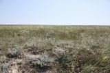 Image of landscape