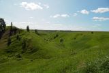 Image of landscape