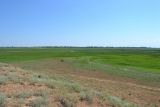Ямное, image of landscape/habitat.