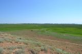 Ямное, image of landscape/habitat.