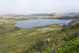 Столбовое озеро, image of landscape/habitat.