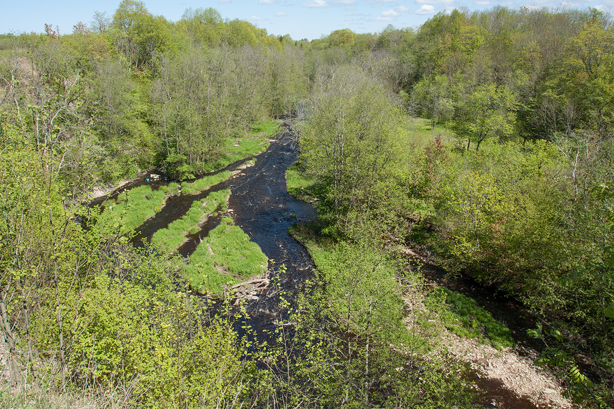 Каньон реки Лава, image of landscape/habitat.