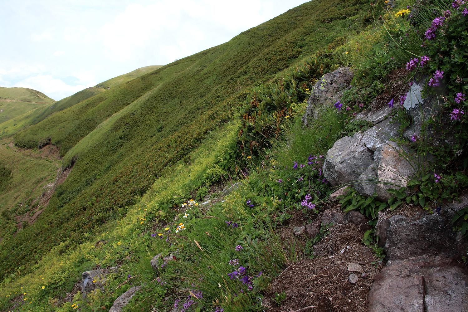 Гора Ах-Аг, image of landscape/habitat.