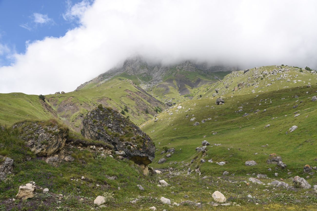 Альплагерь "Кязи" и окрестности, изображение ландшафта.