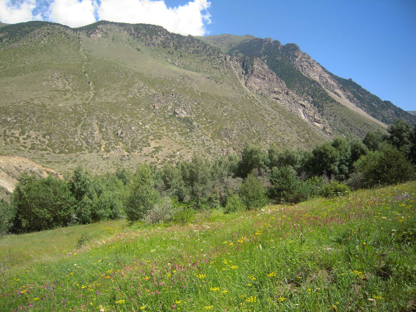 Долина реки Баксан, image of landscape/habitat.