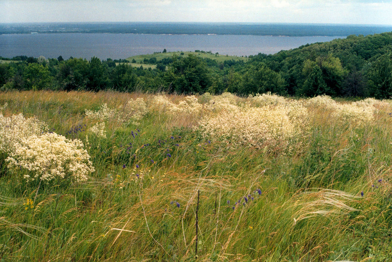 Трахтемиров, image of landscape/habitat.