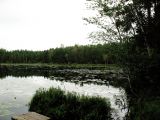 Image of landscape