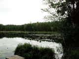 Селигер, image of landscape/habitat.