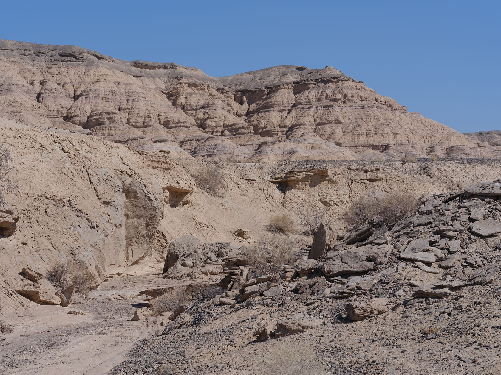 Сарымсакты, image of landscape/habitat.