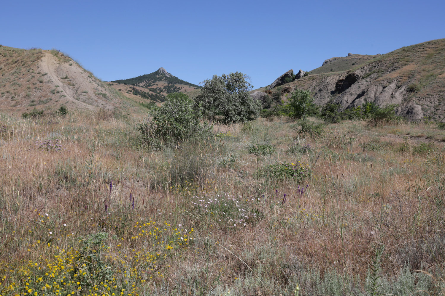 Лисья бухта, image of landscape/habitat.