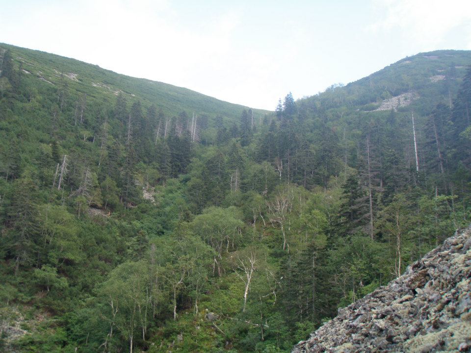 Тиуль-Шаман, image of landscape/habitat.