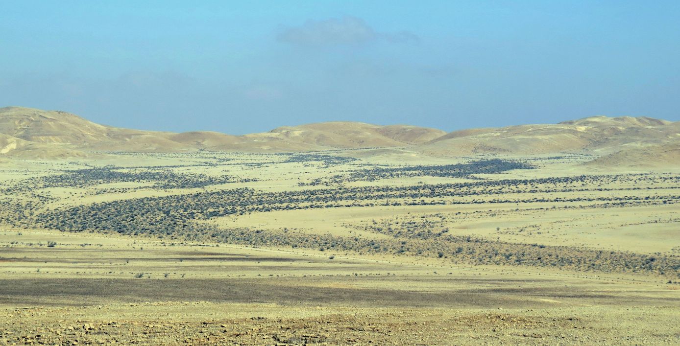 Равнина Мишор а-Сээфим, image of landscape/habitat.