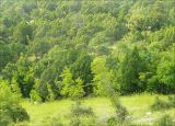 Окрестности мыса Шесхарис, image of landscape/habitat.