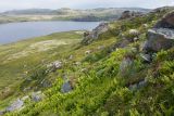 Image of landscape