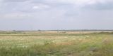 Image of landscape