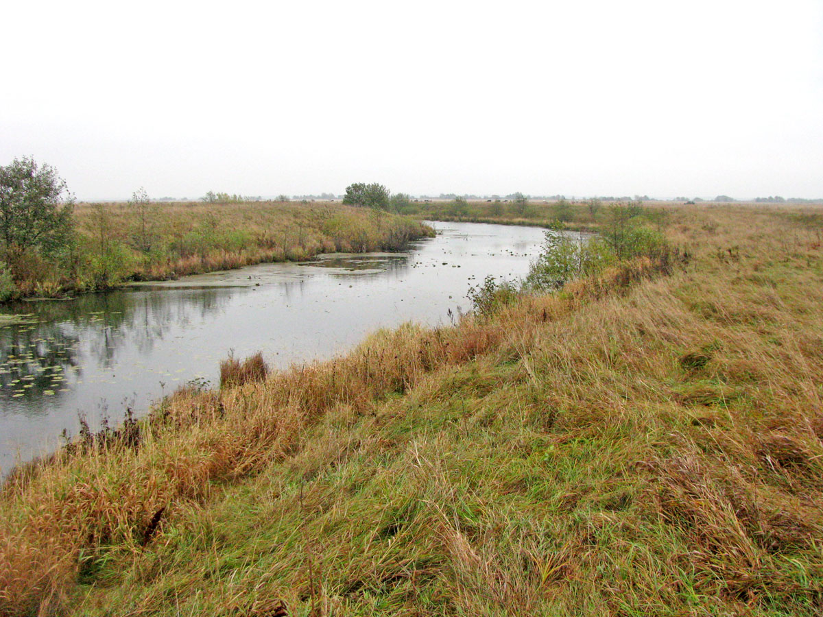 Окский заповедник, image of landscape/habitat.