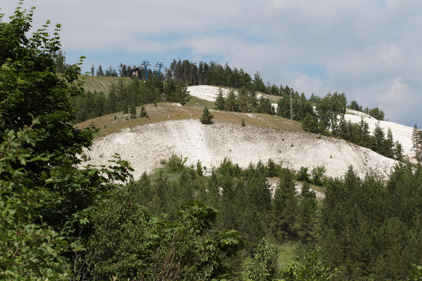 Хвалынск и окрестности, image of landscape/habitat.