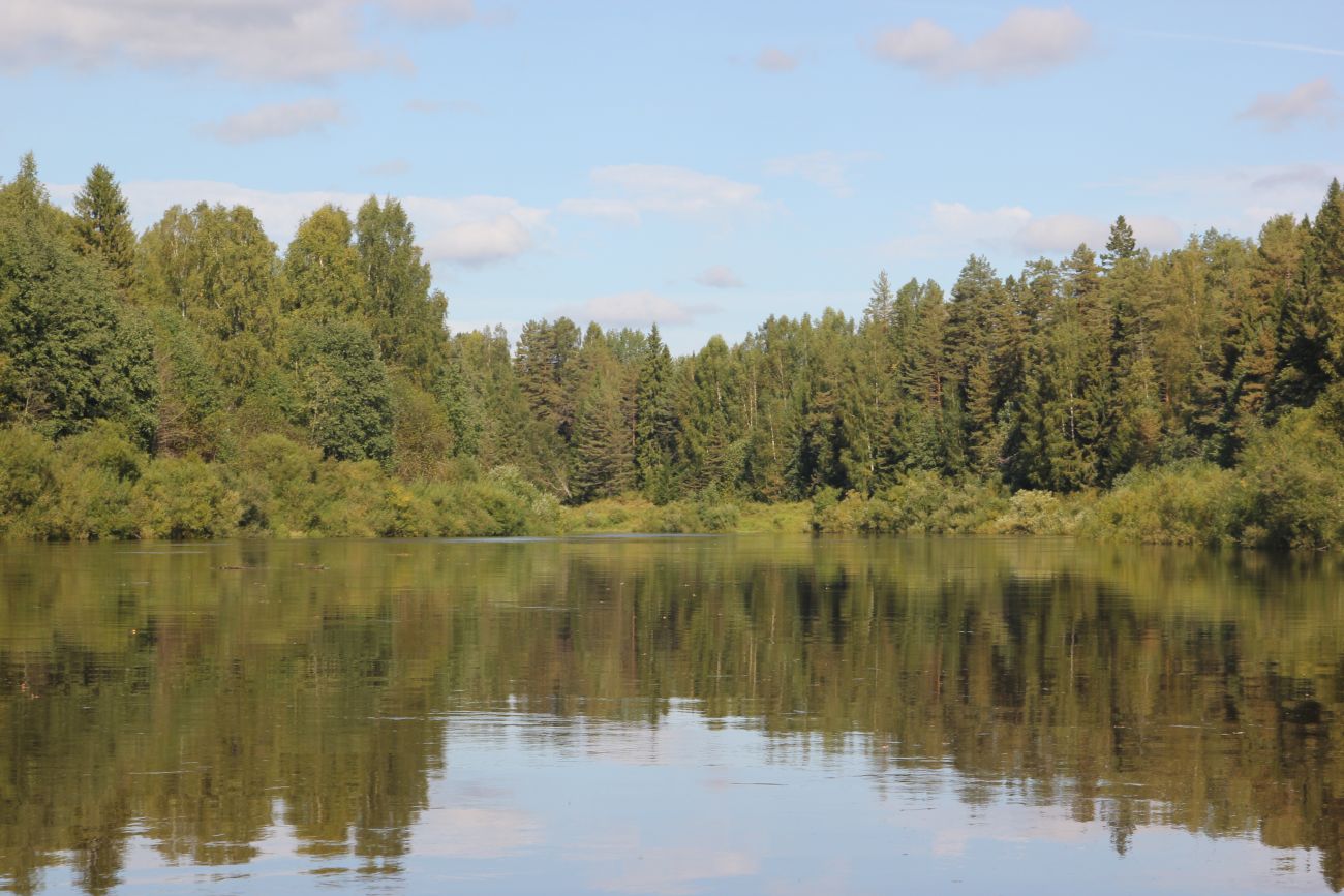 Окрестности устья ручья Луковка, изображение ландшафта.
