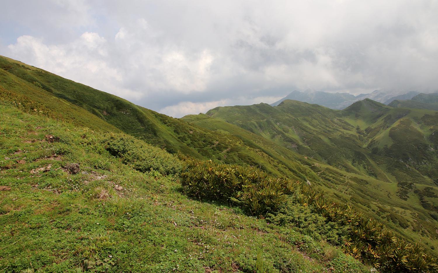 Гора Ах-Аг, image of landscape/habitat.