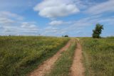 Ильменский глинт, image of landscape/habitat.